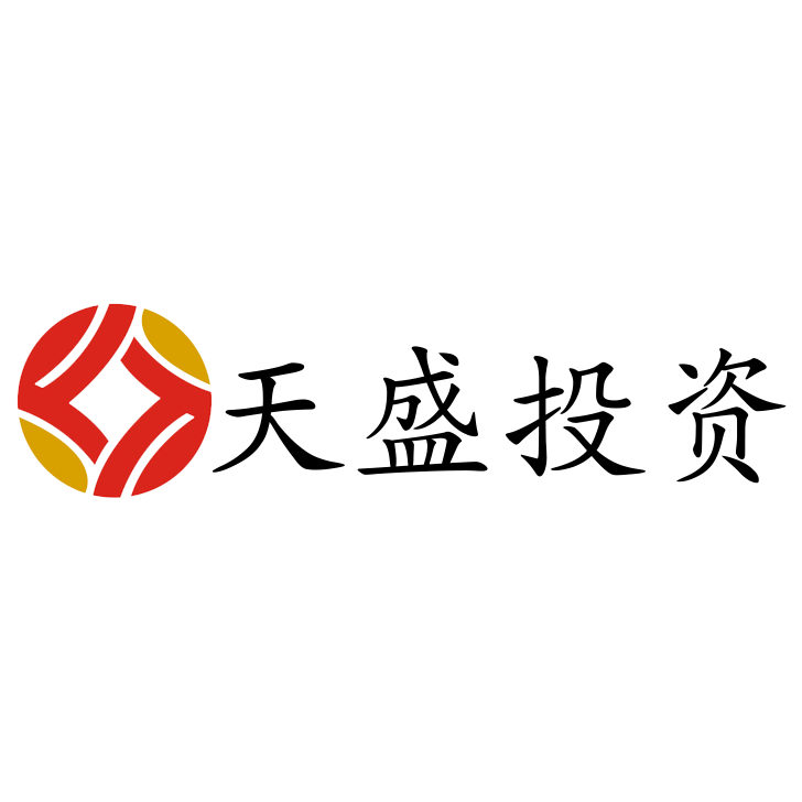 天盛投资